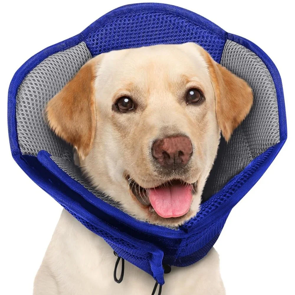 Onetigris Dog Cone Collar*Post-Surgery*Adjustable*NWT Large Blue Poly